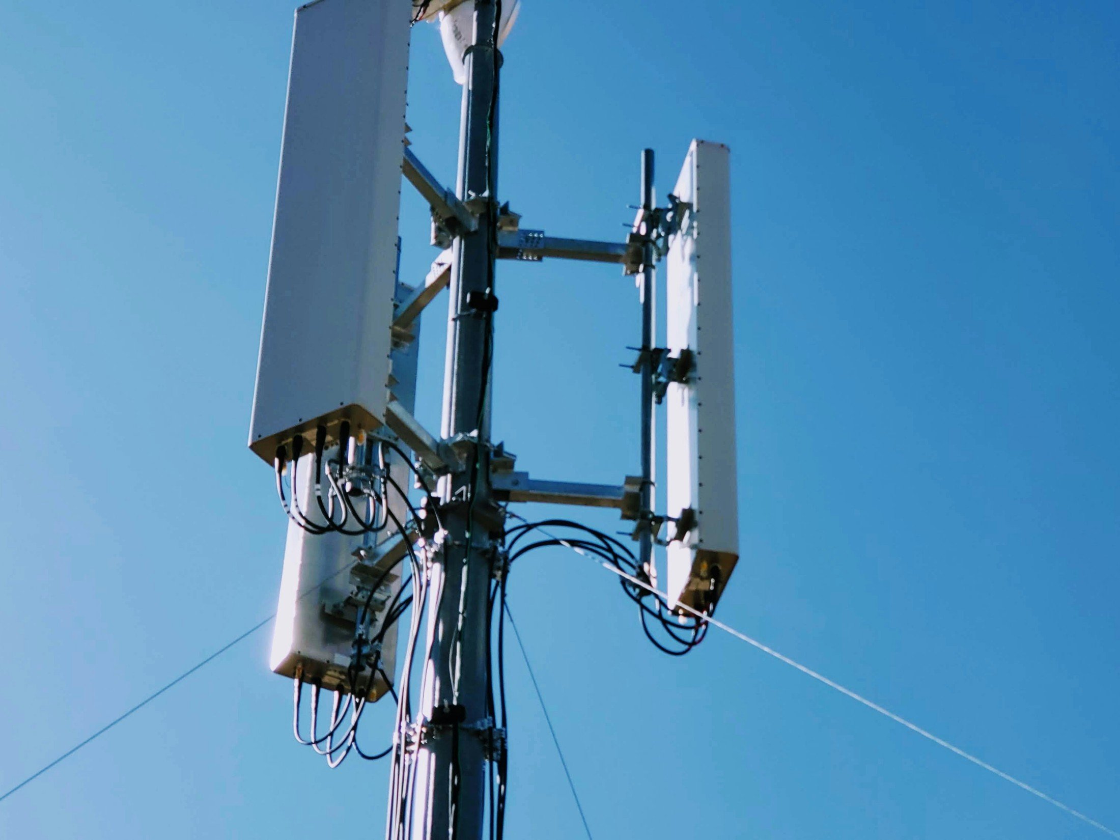 Mobile tower as a new report from Berg Insight puts the spotlight on the expansion of the global cellular IoT connectivity market, which is on a trajectory to reach 6.4 billion connections by 2029.